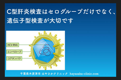 セログループではなく遺伝子型検査が大事です