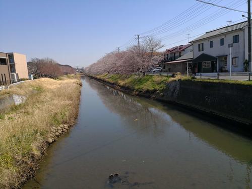 20180325yanagawa.jpg