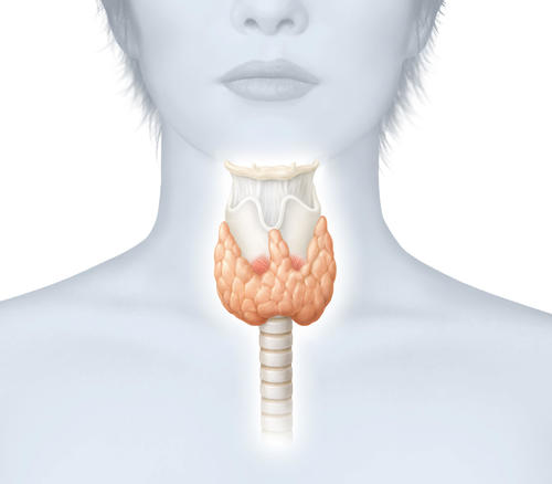 沈黙の臓器”、肝臓の声を聴こう！ ～増加する「NAFLD」と「NASH