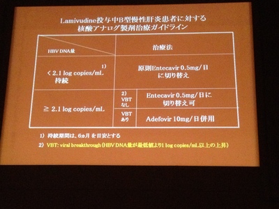 2012年B型慢性肝炎治療ガイドライン案5